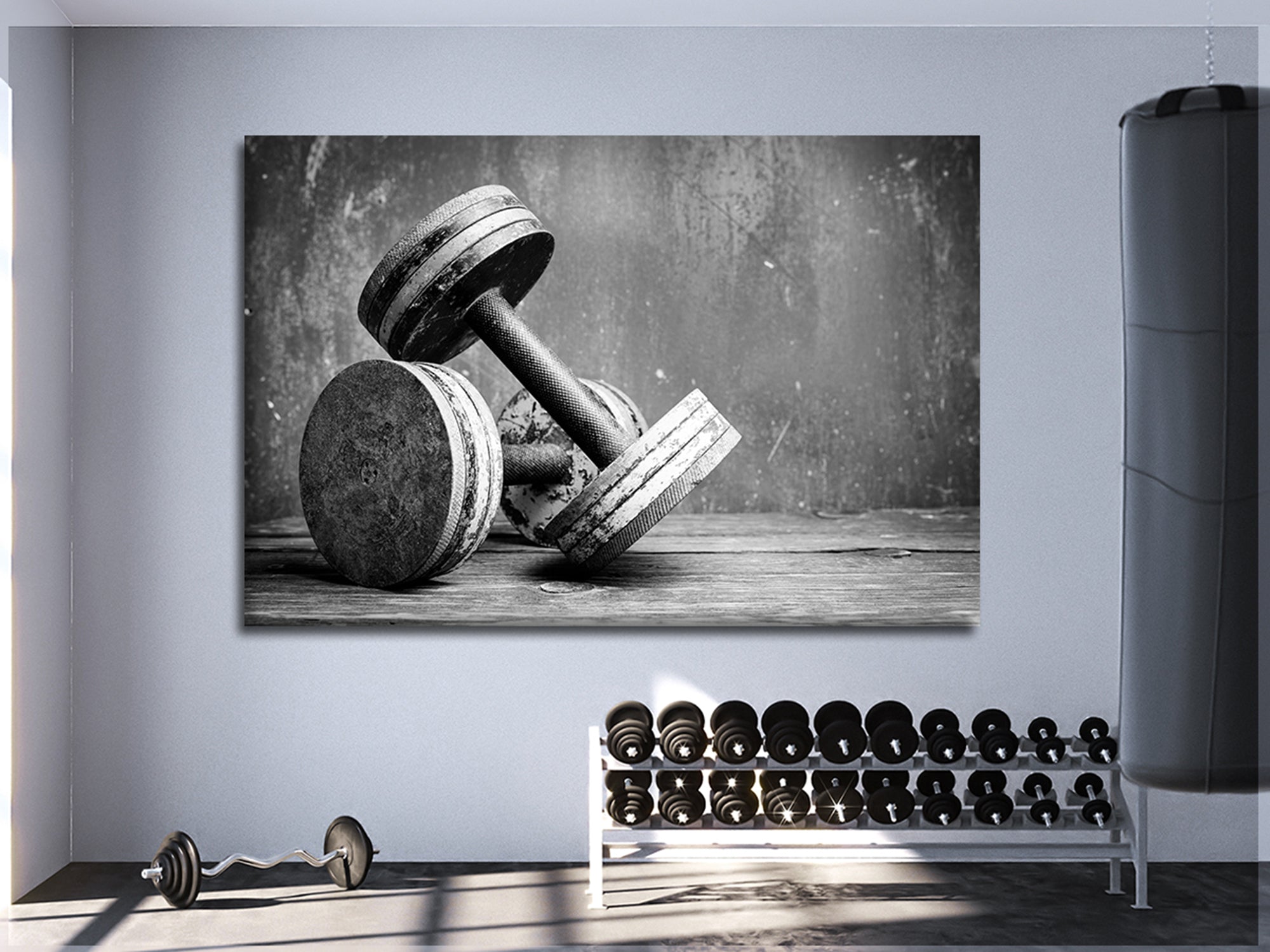 Dumbbells In Gym Canvas Wall Art